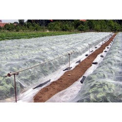Agroplēve Fortex ANTI FROST PAKA, 17 g/m2, 1,6x5m, 8m2, 4772162082106